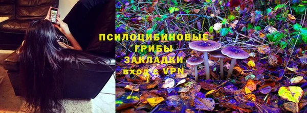 молекула духа Алзамай