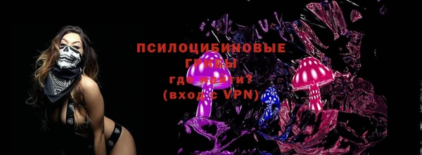 спиды Алексин