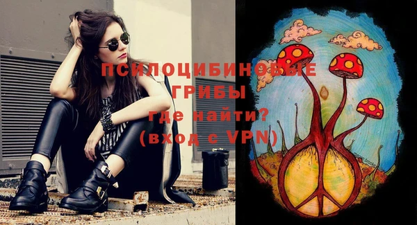 молекула духа Алзамай